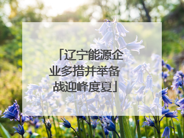 辽宁能源企业多措并举备战迎峰度夏