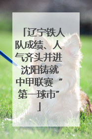 辽宁铁人队成绩、人气齐头并进 沈阳铸就中甲联赛“第一球市”