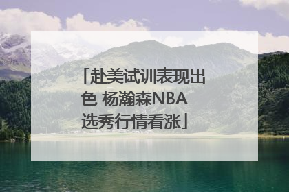 赴美试训表现出色 杨瀚森NBA选秀行情看涨