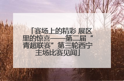 赛场上的精彩 展区里的惊喜——第二届“青超联赛”第三轮西宁主场比赛见闻