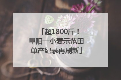 超1800斤！阜阳一小麦示范田单产纪录再刷新
