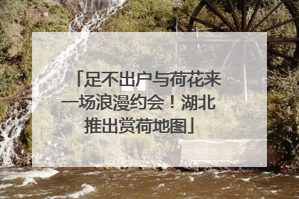 足不出户与荷花来一场浪漫约会！湖北推出赏荷地图