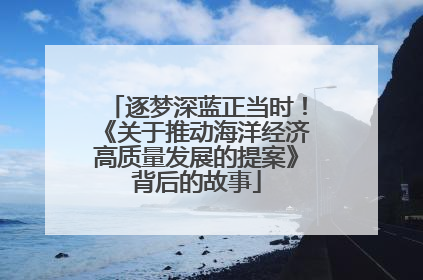 逐梦深蓝正当时！《关于推动海洋经济高质量发展的提案》背后的故事
