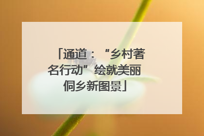 通道：“乡村著名行动”绘就美丽侗乡新图景