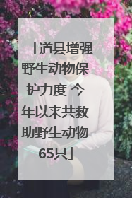 道县增强野生动物保护力度 今年以来共救助野生动物65只