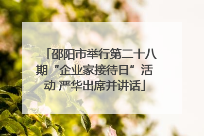 邵阳市举行第二十八期“企业家接待日”活动 严华出席并讲话