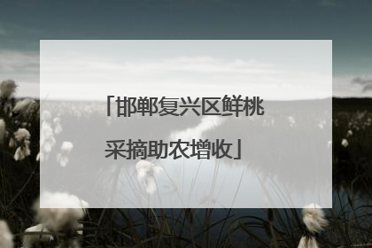 邯郸复兴区鲜桃采摘助农增收