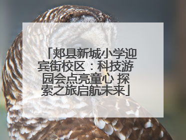 郏县新城小学迎宾街校区：科技游园会点亮童心 探索之旅启航未来