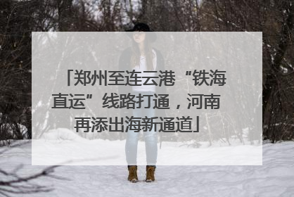 郑州至连云港“铁海直运”线路打通，河南再添出海新通道