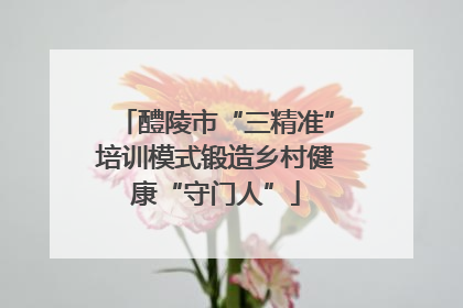 醴陵市“三精准”培训模式锻造乡村健康“守门人”