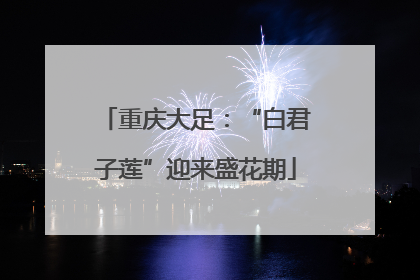 重庆大足：“白君子莲”迎来盛花期