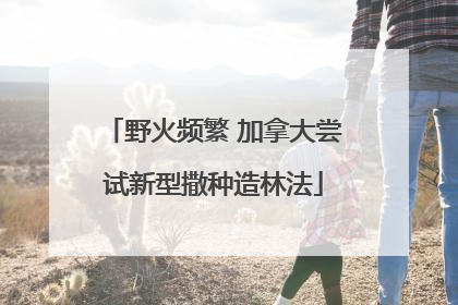 野火频繁 加拿大尝试新型撒种造林法