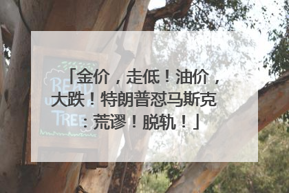 金价，走低！油价，大跌！特朗普怼马斯克：荒谬！脱轨！