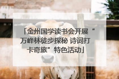 金州国学读书会开展“万峰林徒步探秘 诗词打卡奇旅”特色活动
