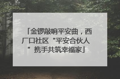 金锣敲响平安曲，西厂口社区“平安合伙人”携手共筑幸福家