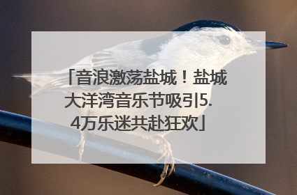 音浪激荡盐城！盐城大洋湾音乐节吸引5.4万乐迷共赴狂欢