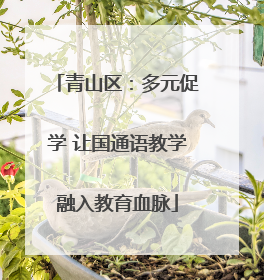 青山区：多元促学 让国通语教学融入教育血脉