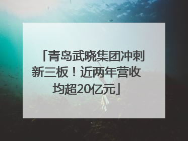 青岛武晓集团冲刺新三板！近两年营收均超20亿元