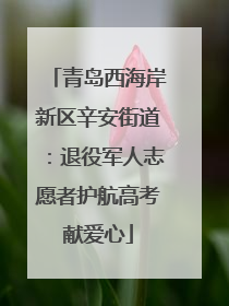 青岛西海岸新区辛安街道：退役军人志愿者护航高考献爱心