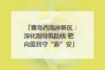 青岛西海岸新区：深化指导筑防线 靶向监督守“薪”安
