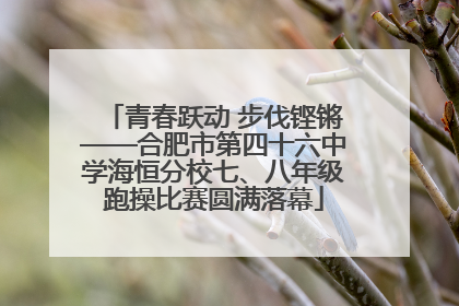 青春跃动 步伐铿锵——合肥市第四十六中学海恒分校七、八年级跑操比赛圆满落幕
