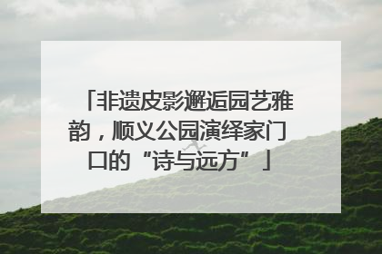 非遗皮影邂逅园艺雅韵，顺义公园演绎家门口的“诗与远方”