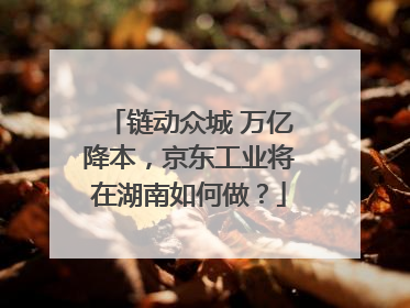链动众城 万亿降本，京东工业将在湖南如何做？