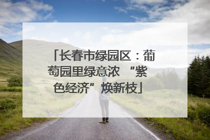 长春市绿园区：葡萄园里绿意浓 “紫色经济”焕新枝
