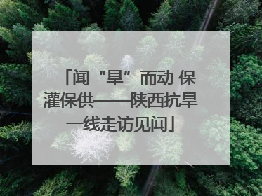 闻“旱”而动 保灌保供——陕西抗旱一线走访见闻