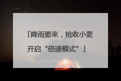 降雨要来，抢收小麦开启“倍速模式”