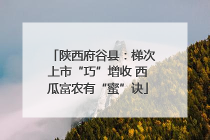 陕西府谷县：梯次上市“巧”增收 西瓜富农有“蜜”诀