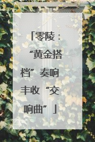 零陵：“黄金搭档”奏响丰收“交响曲”