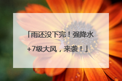 雨还没下完！强降水+7级大风，来袭！