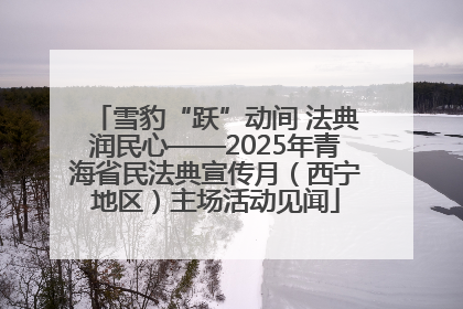雪豹“跃”动间 法典润民心——2025年青海省民法典宣传月（西宁地区）主场活动见闻