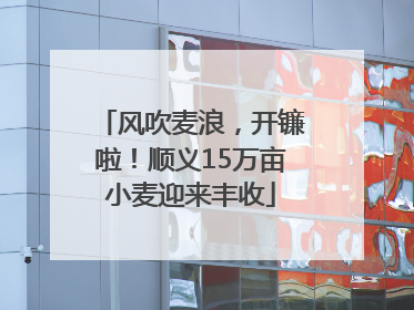 风吹麦浪，开镰啦！顺义15万亩小麦迎来丰收