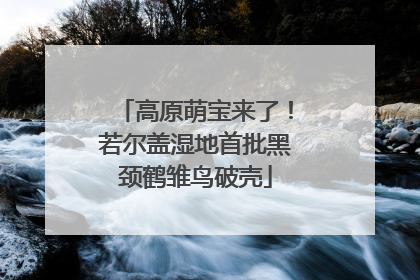高原萌宝来了！若尔盖湿地首批黑颈鹤雏鸟破壳
