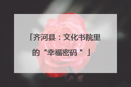 齐河县：文化书院里的“幸福密码 ”