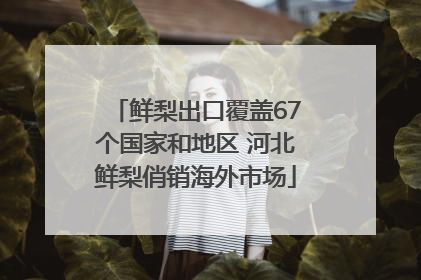 鲜梨出口覆盖67个国家和地区 河北鲜梨俏销海外市场