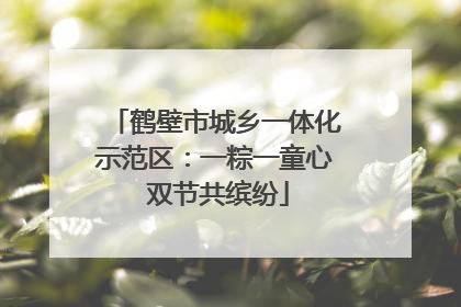鹤壁市城乡一体化示范区：一粽一童心 双节共缤纷