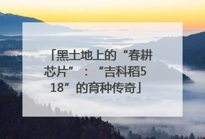 黑土地上的“春耕芯片”：“吉科稻518”的育种传奇