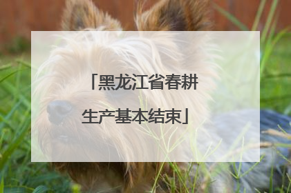 黑龙江省春耕生产基本结束