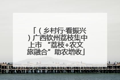 （乡村行·看振兴）广西钦州荔枝集中上市 “荔枝+农文旅融合”助农增收