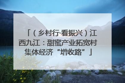（乡村行·看振兴）江西九江：甜蜜产业拓宽村集体经济“增收路”