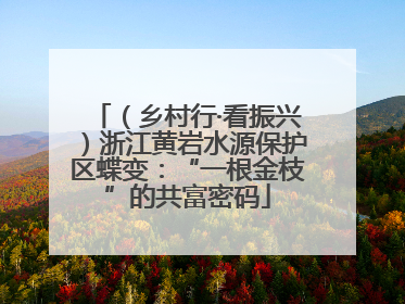 （乡村行·看振兴）浙江黄岩水源保护区蝶变：“一根金枝”的共富密码