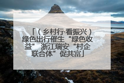 （乡村行·看振兴）绿色出行催生“绿色收益” 浙江瑞安“村企联合体”促共富