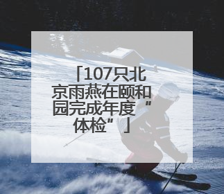 107只北京雨燕在颐和园完成年度“体检”