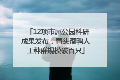 12项市属公园科研成果发布，青头潜鸭人工种群规模破百只