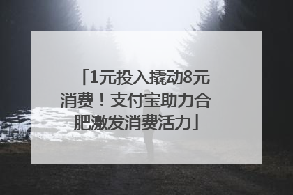 1元投入撬动8元消费！支付宝助力合肥激发消费活力