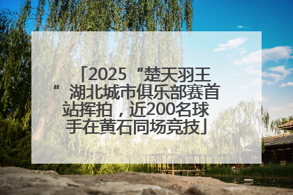 2025“楚天羽王”湖北城市俱乐部赛首站挥拍，近200名球手在黄石同场竞技