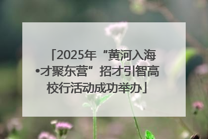 2025年“黄河入海•才聚东营”招才引智高校行活动成功举办
